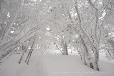 873bf6c4b4987fff873d9a3ec5b99446[1]